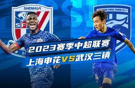 中超第20抡国安对上海申花