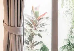 金年会最新活动-窗口期体能课后，斯图加特遗憾出局备战欧冠，更衣室稳定，细节决定成败