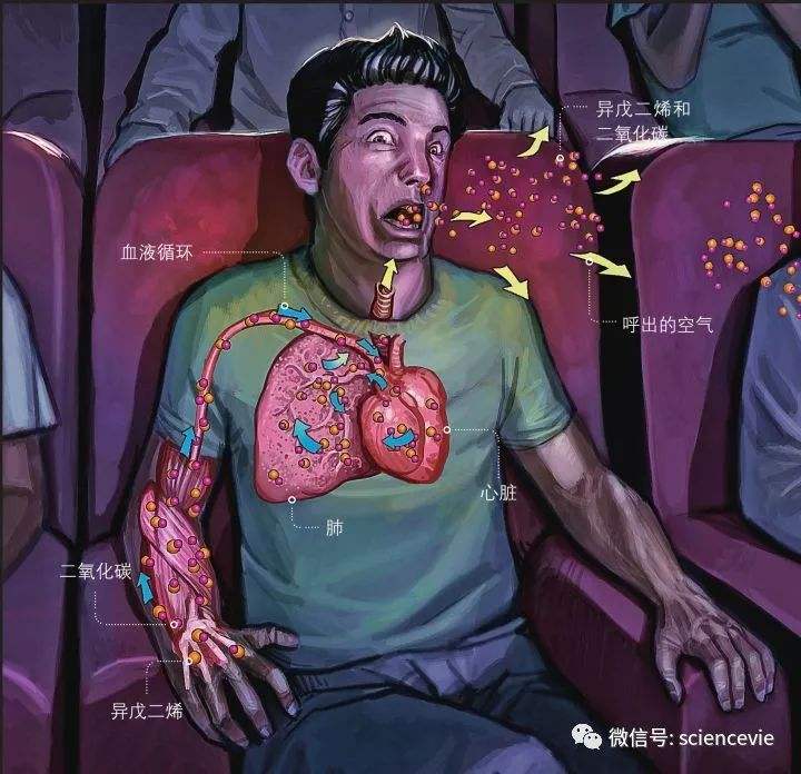 金年会 VIP 2024-亚冠今日预测分析